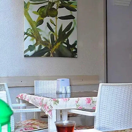 موستار Ayvalı